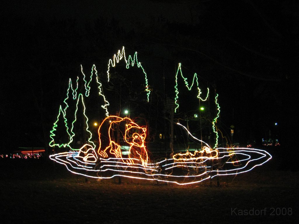 Toledo Zoo Lights 2008 055.jpg - The regular visit to the Toledo Ohio Zoo to see the Christmas Lights displays. New this trip were the "Dancing Lights", displays flashing in time with the Christmas Songs.